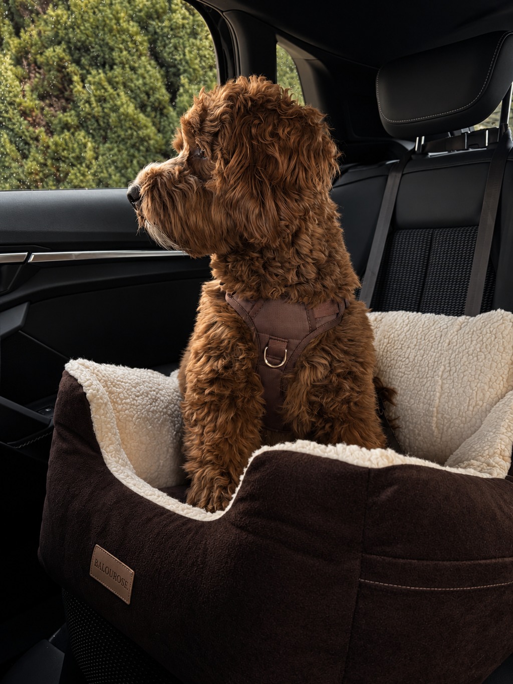 Le Voyage Travel Bed